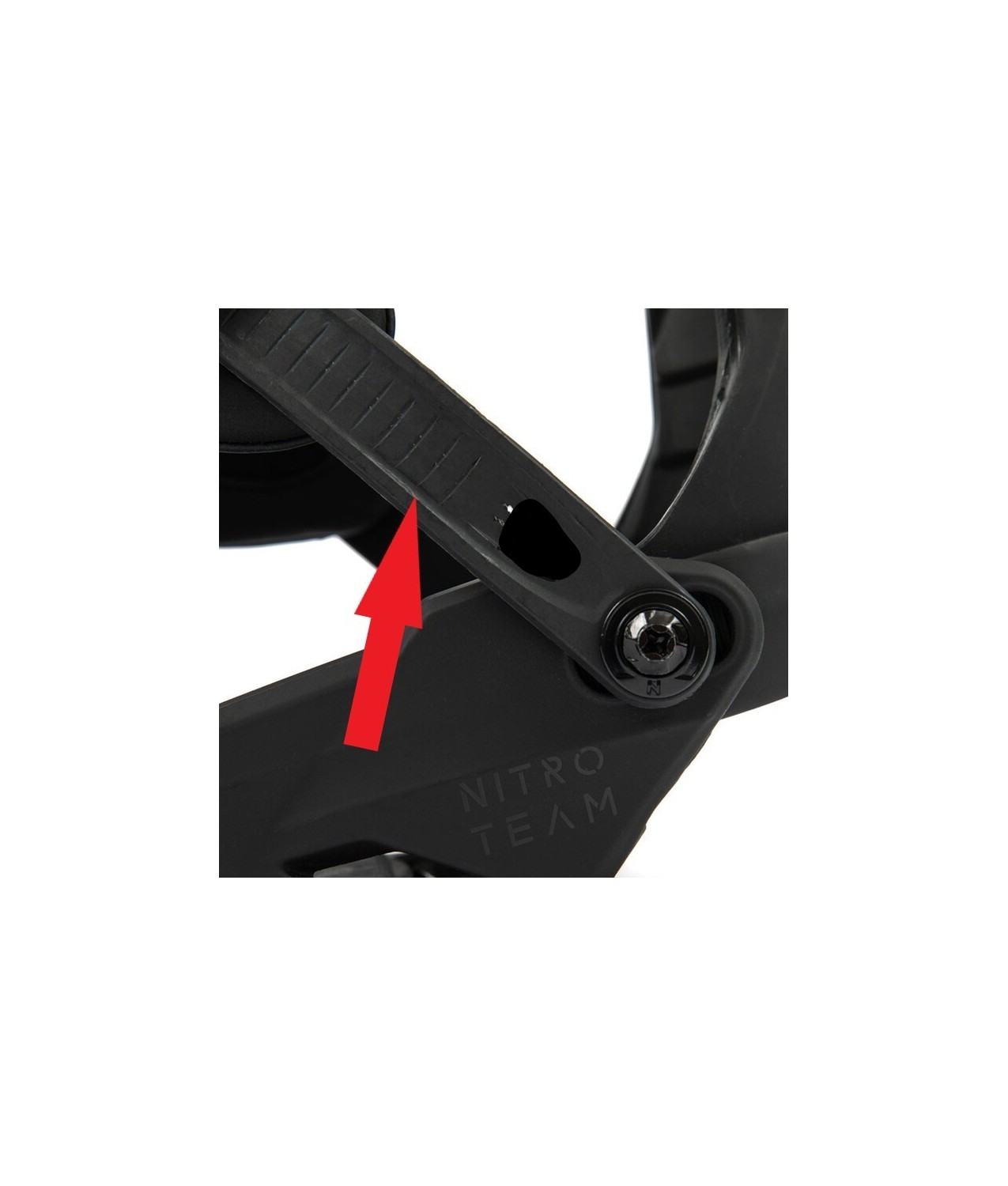 STRAP DELLA CAVIGLIA - LATO CONNETTORE (Foro grande)